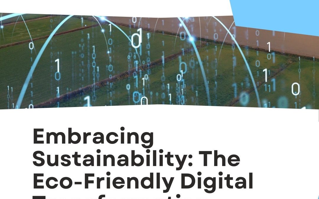 Eco-Friendly Digital Transformation: Driving Sustainability and Resource Optimization for Businesses