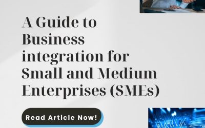 A Guide to Business Integration for Small and Medium Enterprises